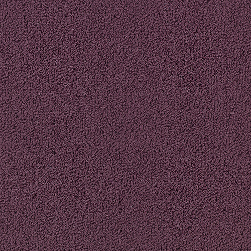 COLOR ACCENTS BL - 54584 - 62979 - Carpet