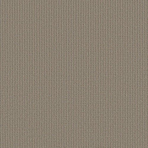 AERIAL ARTS - 5E040 - 00700 - Carpet