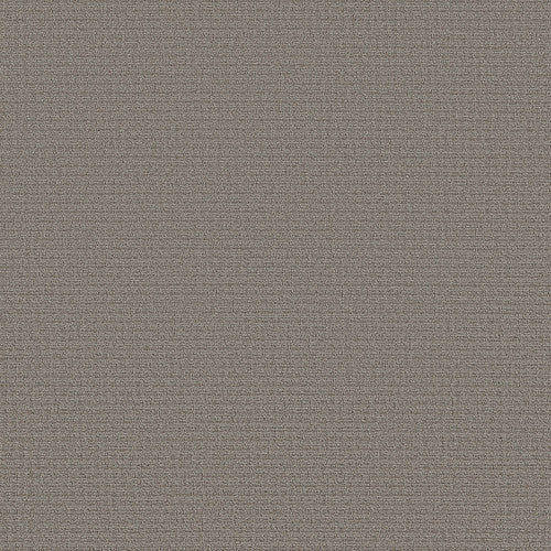 AERIAL ARTS - 5E040 - 00503 - Carpet