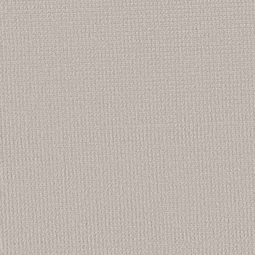 AERIAL ARTS - 5E040 - 00500 - Carpet