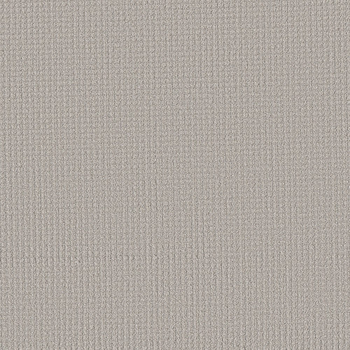 AERIAL ARTS - 5E040 - 00501 - Carpet