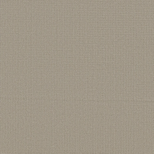 AERIAL ARTS - 5E040 - 00106 - Carpet