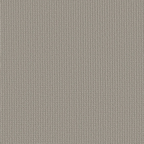 AERIAL ARTS - 5E040 - 00502 - Carpet