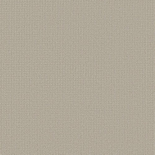 AERIAL ARTS - 5E040 - 00105 - Carpet