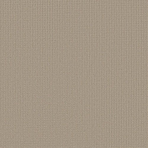 AERIAL ARTS - 5E040 - 00104 - Carpet