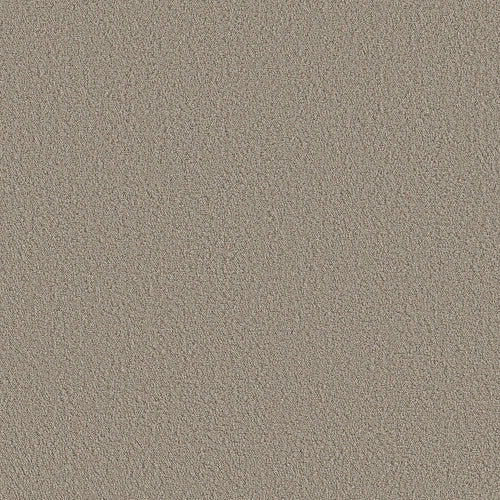 AERIAL VIEW - 5E041 - 00700 - Carpet