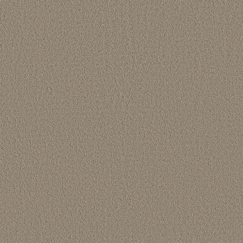 AERIAL VIEW - 5E041 - 00701 - Carpet