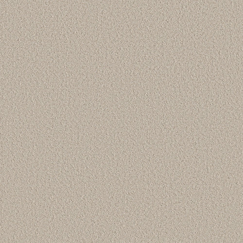 AERIAL VIEW - 5E041 - 00103 - Carpet
