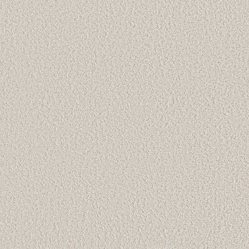 AERIAL VIEW - 5E041 - 00100 - Carpet