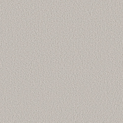 AERIAL VIEW - 5E041 - 00500 - Carpet