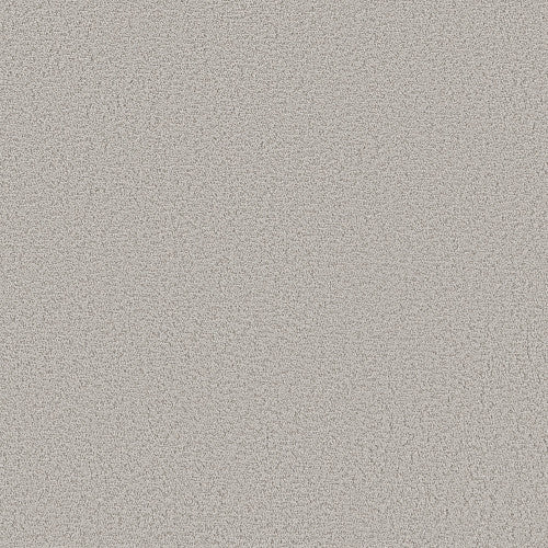 AERIAL VIEW - 5E041 - 00501 - Carpet
