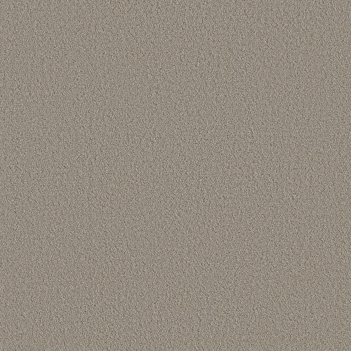 AERIAL VIEW - 5E041 - 00106 - Carpet