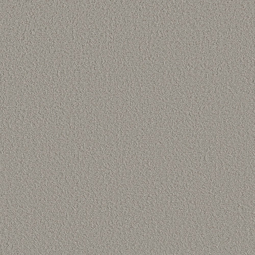 AERIAL VIEW - 5E041 - 00502 - Carpet