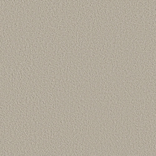 AERIAL VIEW - 5E041 - 00105 - Carpet