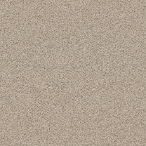 AERIAL VIEW - 5E041 - 00104 - Carpet
