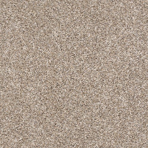 AFTER IT II - 5E258 - 00101 - Carpet