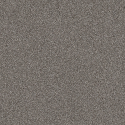 ATTAINABLE - E9965 - 521T - Carpet