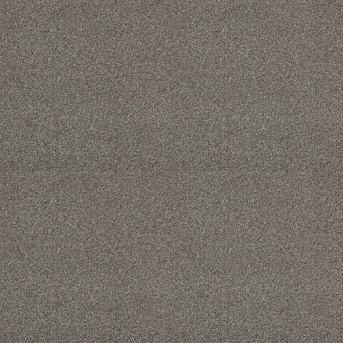 ATTAINABLE - E9965 - 721T - Carpet