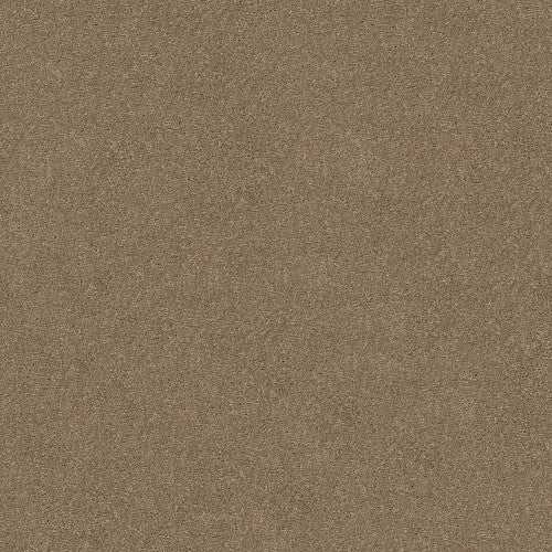 ATTAINABLE - E9965 - 701S - Carpet