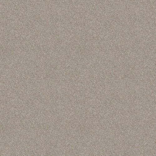 ATTAINABLE - E9965 - 121T - Carpet