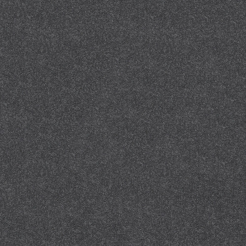 ATTAINABLE - E9965 - 400S - Carpet