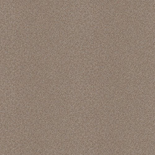 ATTAINABLE - E9965 - 720T - Carpet