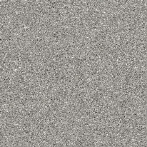 ATTAINABLE - E9965 - 500S - Carpet