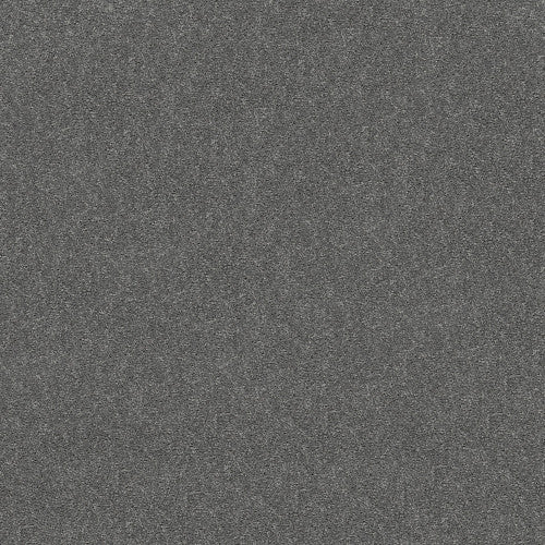ATTAINABLE - E9965 - 501S - Carpet