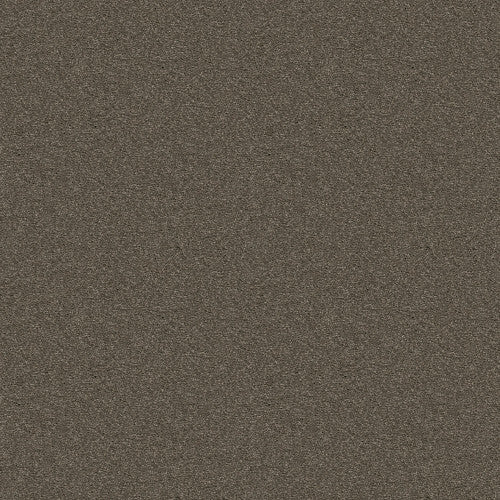 ATTAINABLE - E9965 - 702S - Carpet
