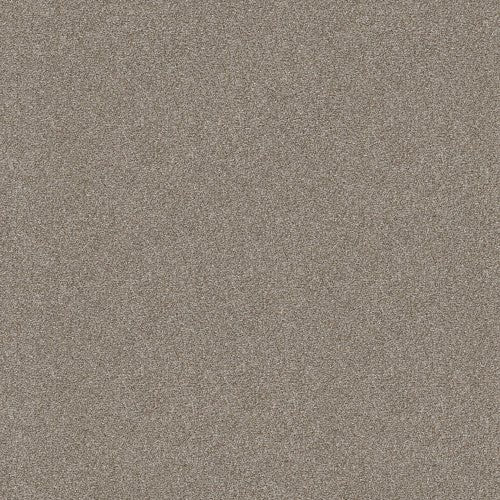 ATTAINABLE - E9965 - 123T - Carpet