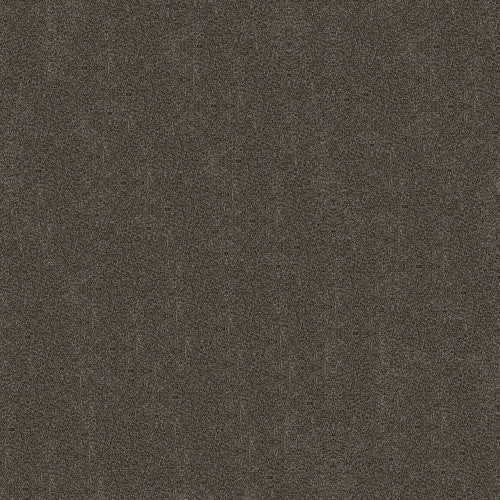 BOUNDLESS I - 5E485 - 00752 - Carpet