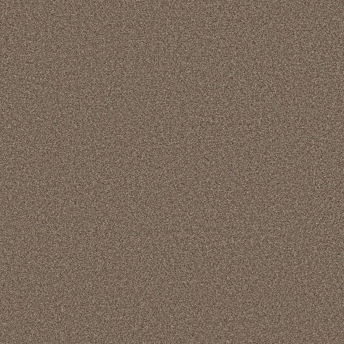 BOUNDLESS I - 5E485 - 00103 - Carpet