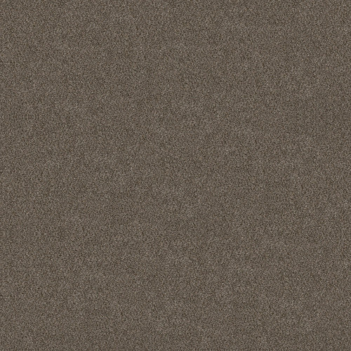 BOUNDLESS I - 5E485 - 00701 - Carpet