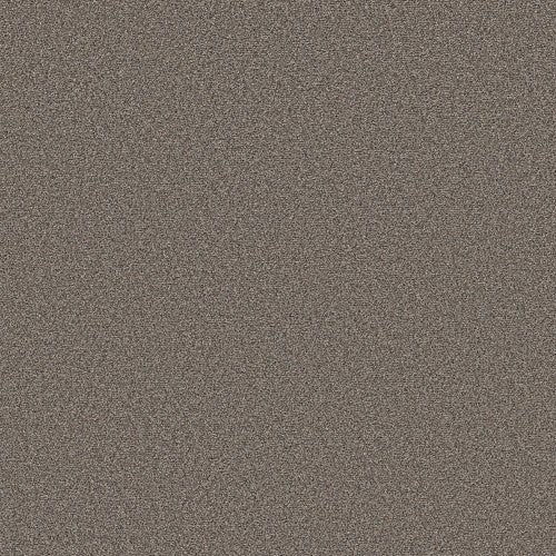 BOUNDLESS III - 5E487 - 00157 - Carpet