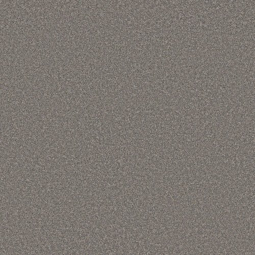 BOUNDLESS III - 5E487 - 00501 - Carpet