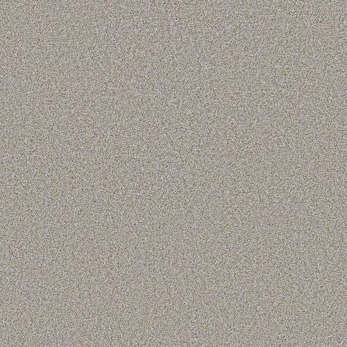 BOUNDLESS III - 5E487 - 00100 - Carpet