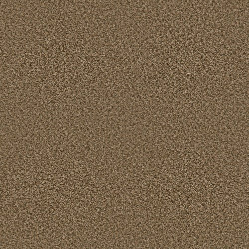 BREAK AWAY (B) - 5E242 - 00211 - Carpet