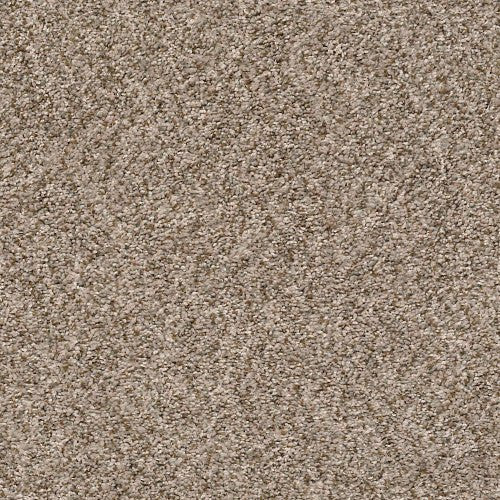CABANA BAY (B) - E9956 - 00152 - Carpet
