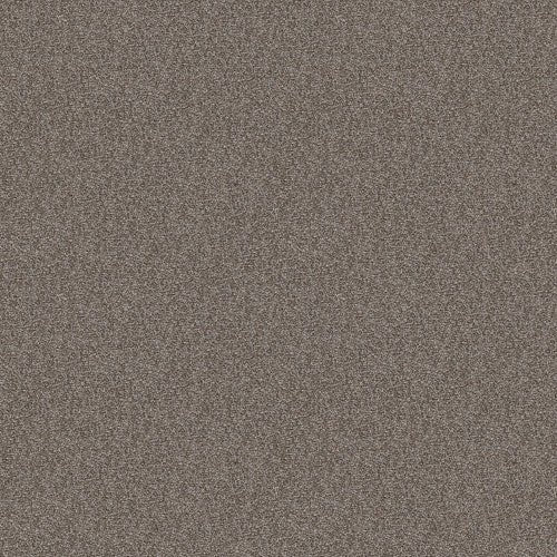 CABANA BAY TONAL - E9955 - 00745 - Carpet