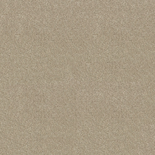 CABANA LIFE SOLID - E9957 - 00122 - Carpet