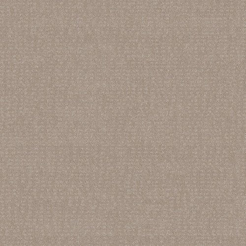 CHIC NUANCE - 5E341 - 00107 - Carpet