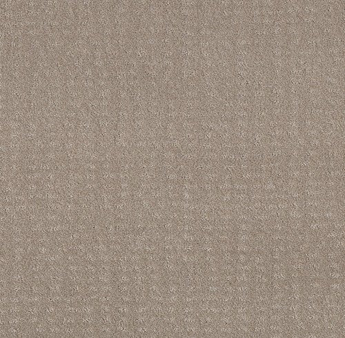 CHIC NUANCE - 5E341 - 00108 - Carpet