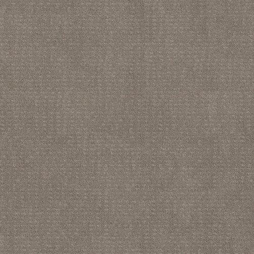 CHIC NUANCE - 5E341 - 00700 - Carpet