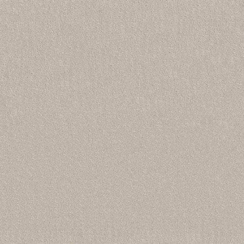 CHIC NUANCE - 5E341 - 00101 - Carpet