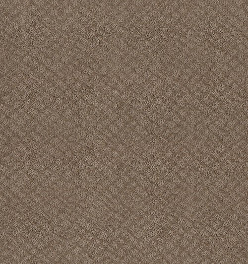 CHIC SHADES - 5E342 - 00720 - Carpet