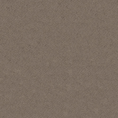 CHIC SHADES - 5E342 - 00751 - Carpet