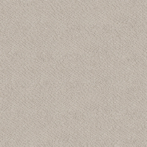 CHIC SHADES - 5E342 - 00101 - Carpet