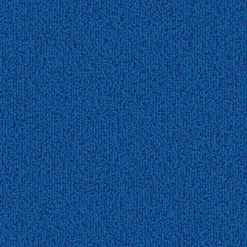COLOR ACCENTS BL - 54584 - 62407 - Carpet