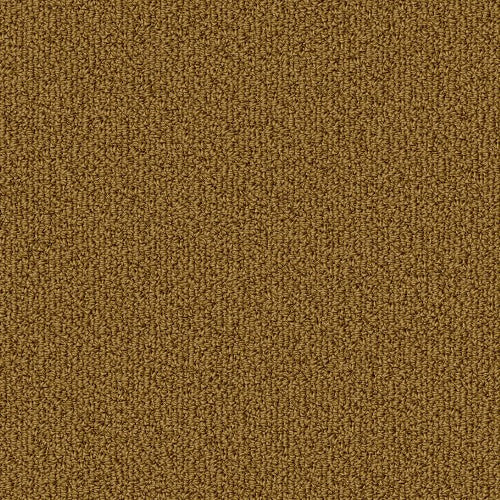COLOR ACCENTS BL - 54584 - 62725 - Carpet