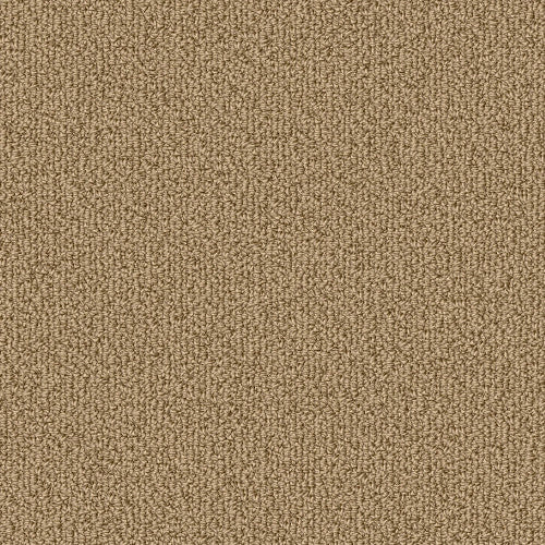 COLOR ACCENTS BL - 54584 - 62122 - Carpet